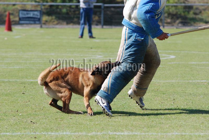 3 EME SELECTIF 2009 GRANDE SYNTHE 469.jpg